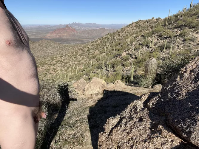 It’s a great morning for a naked hike in the desert