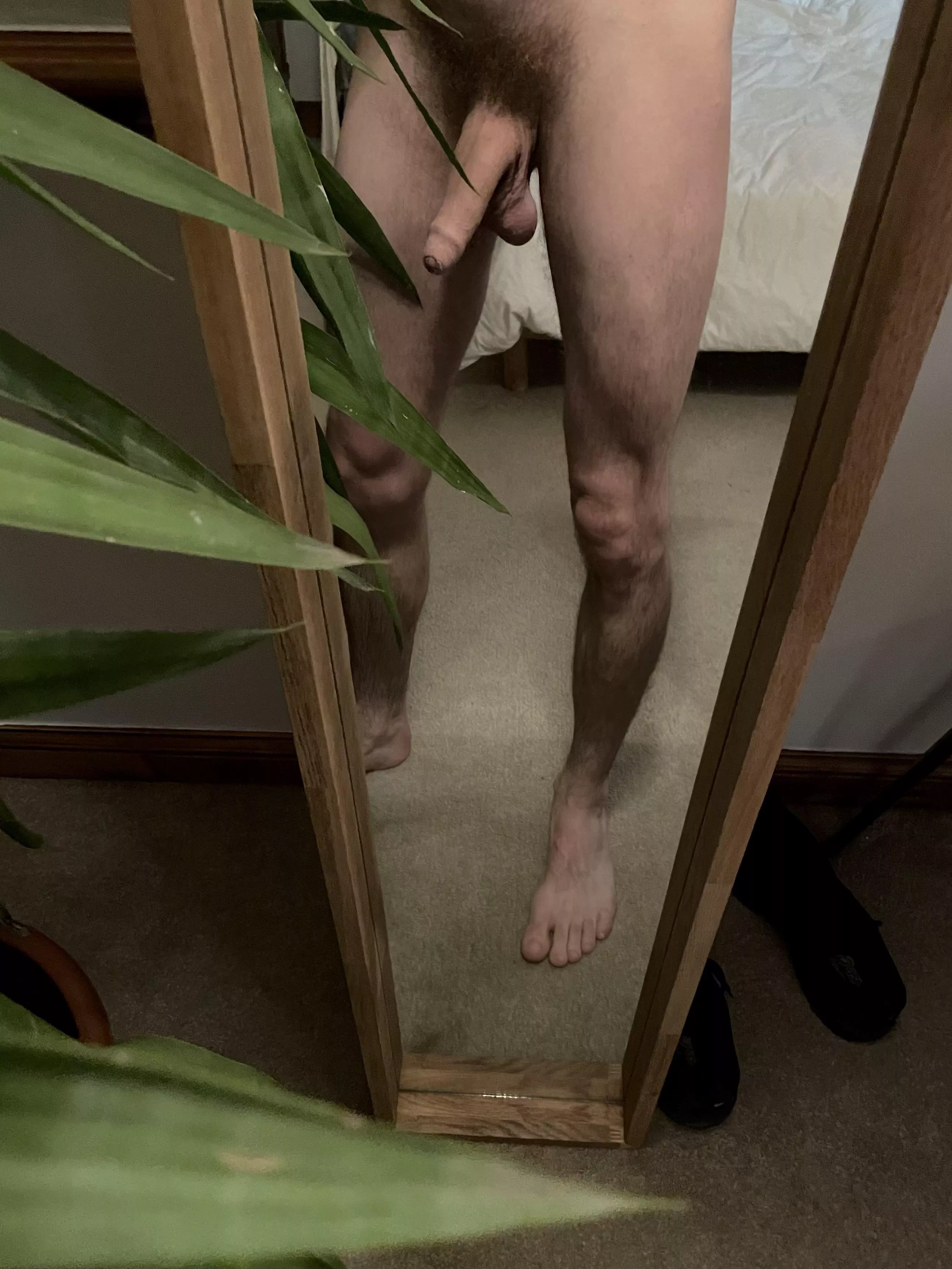 It’s a jungle out there.