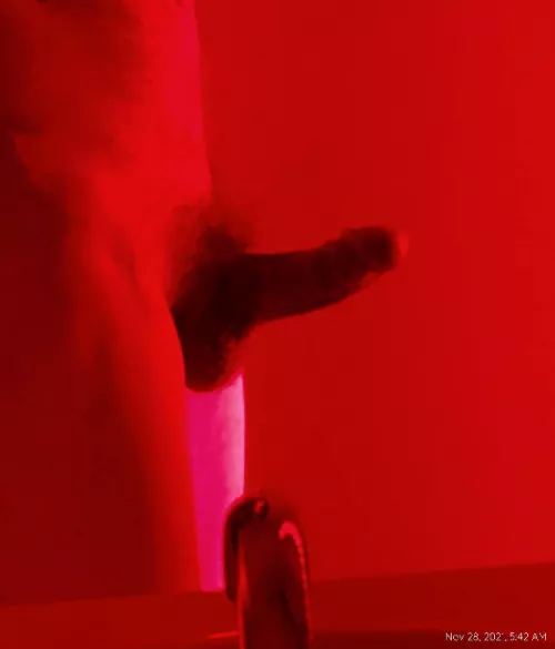 It's a popular pic for so(m)e reason (65)