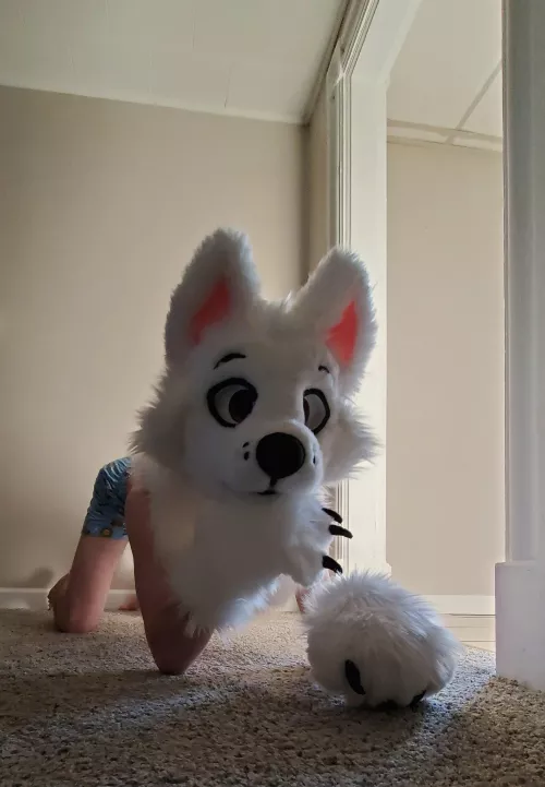 Its been a minute. Sorry it's not my best!