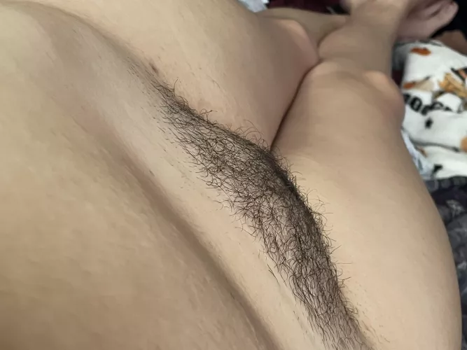 It’s been a minute…let’s catch up in my bush🧚‍♀️