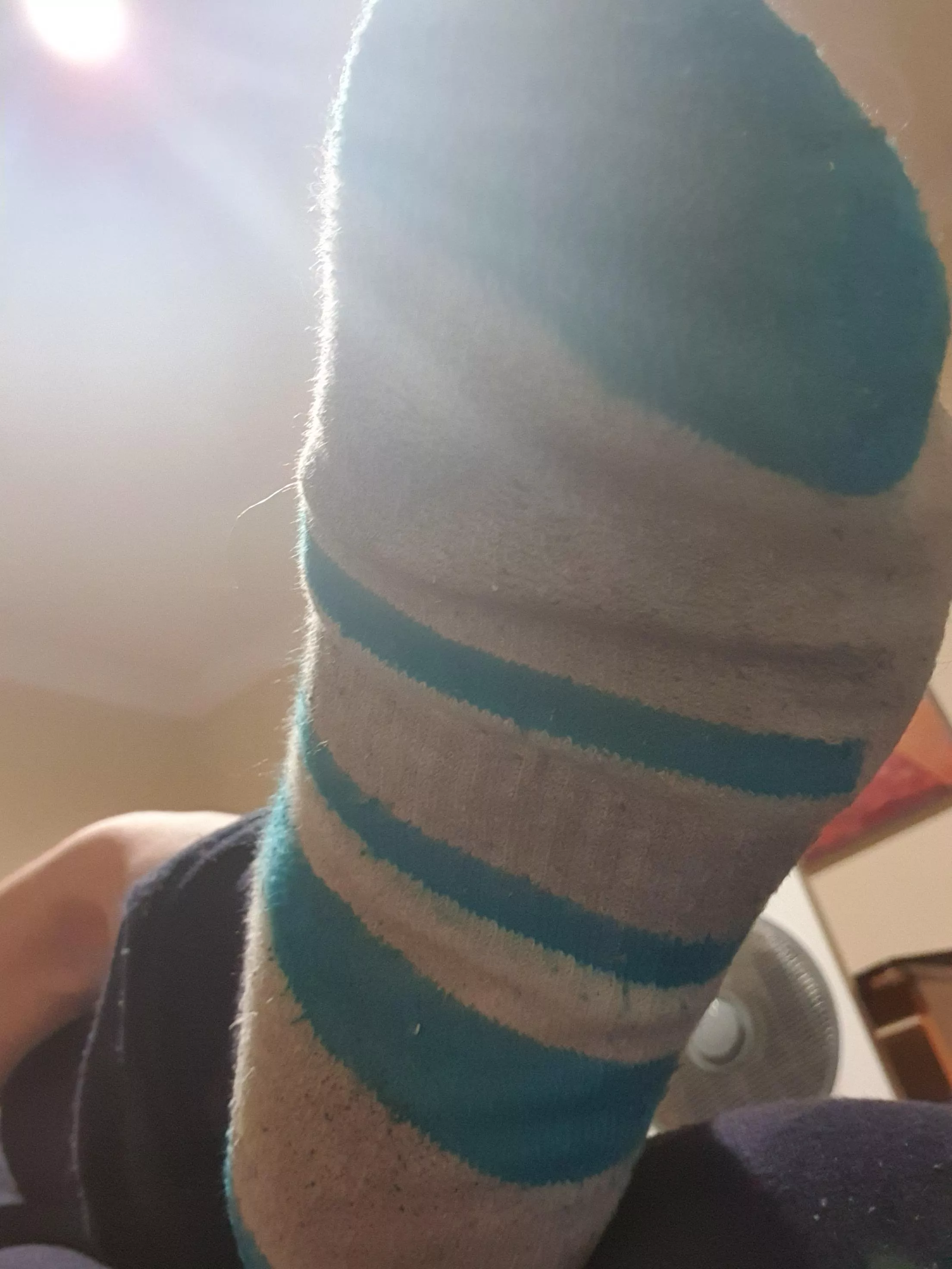 Its been an entire week since I've last taken off my socks and I want to wash them in your mouth Its been an entire week since I've last taken off my socks and I want to wash them in your mouth
