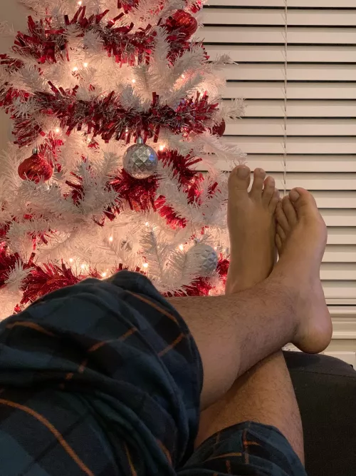 it’s beginning to look a lot like christmas. 🎄