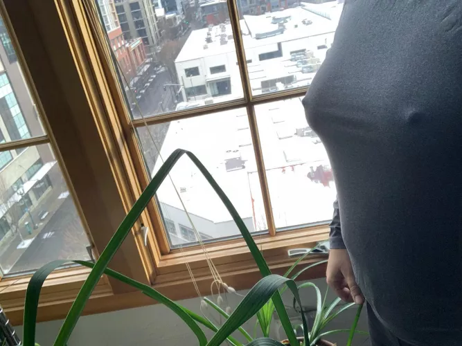 It's chilly out today. 🥶