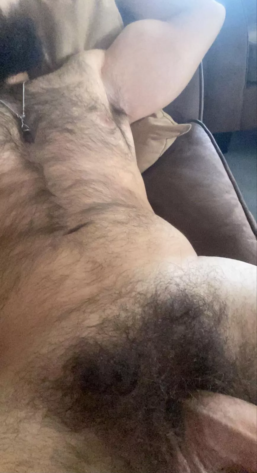 It’s furry season 😉