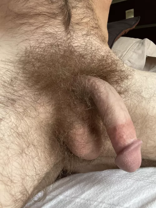 Itβs going to be a horny day!