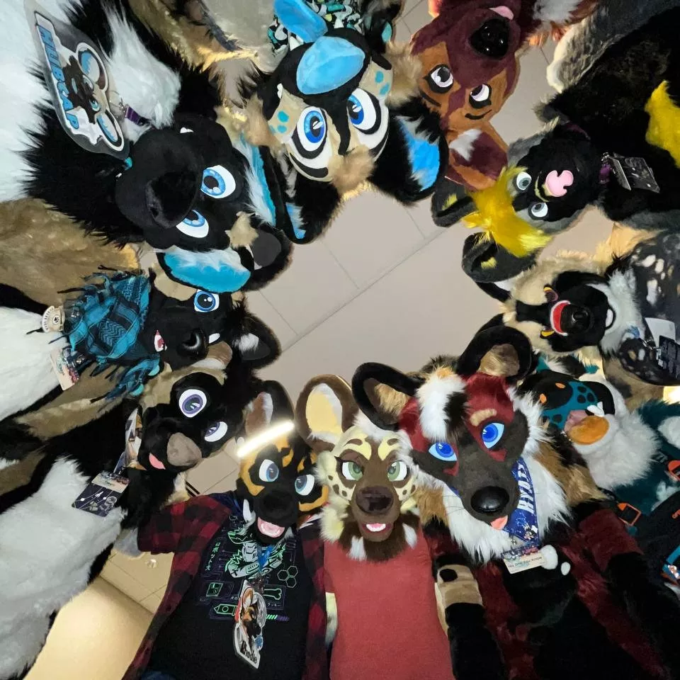 It's the world's largest satellite array!