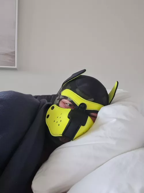 It's too early for this puppy...