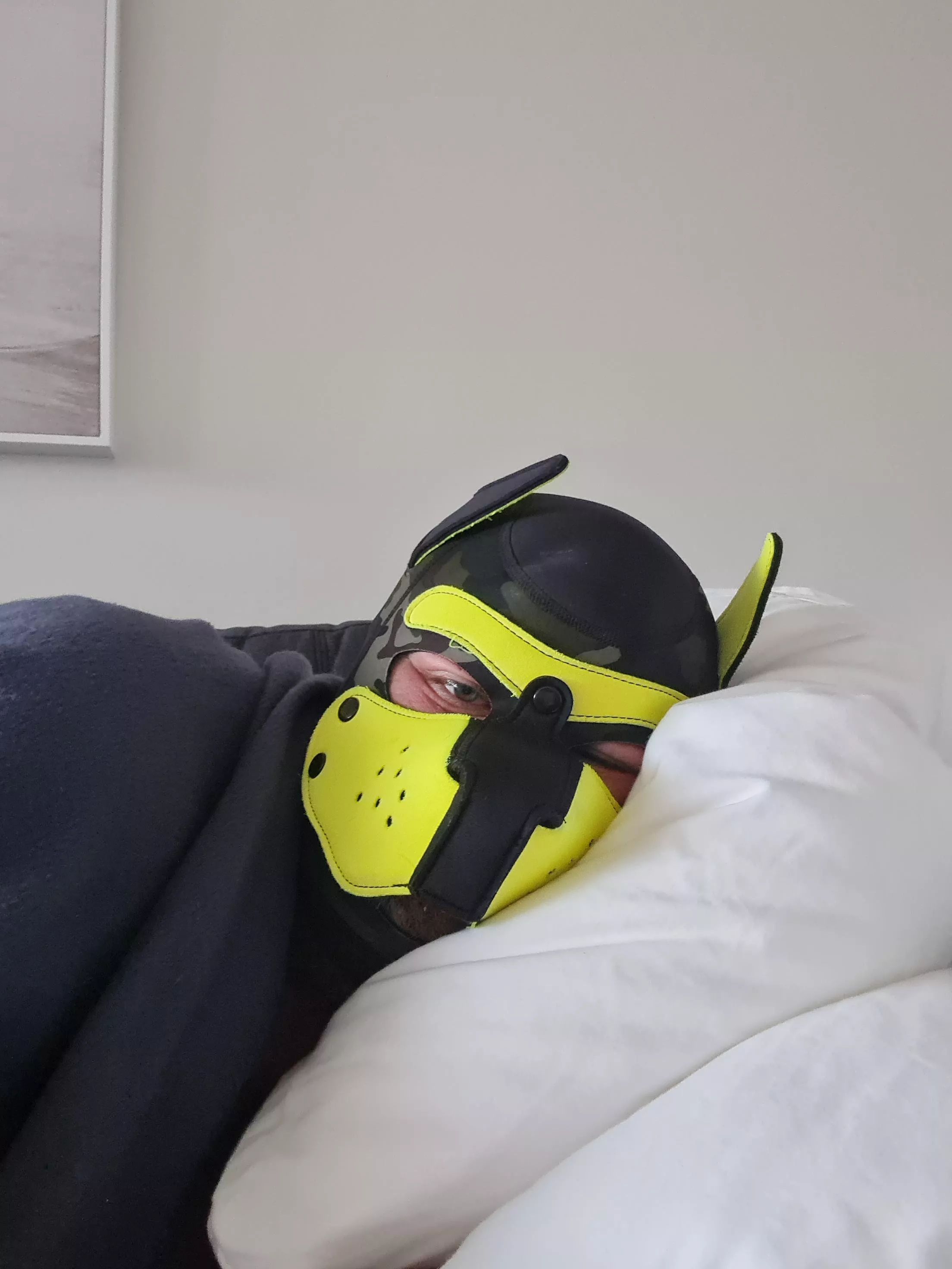 It's too early for this puppy...