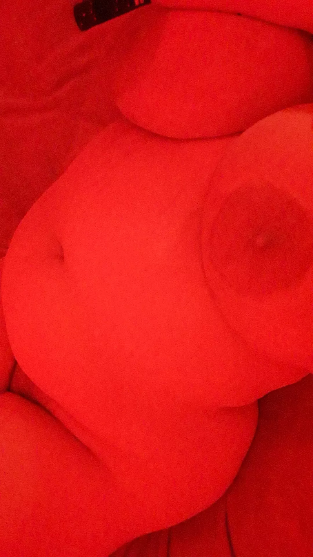 I've been a good brat lately 😈