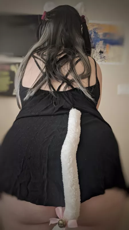 I've been a naughty little kitten all day 😋