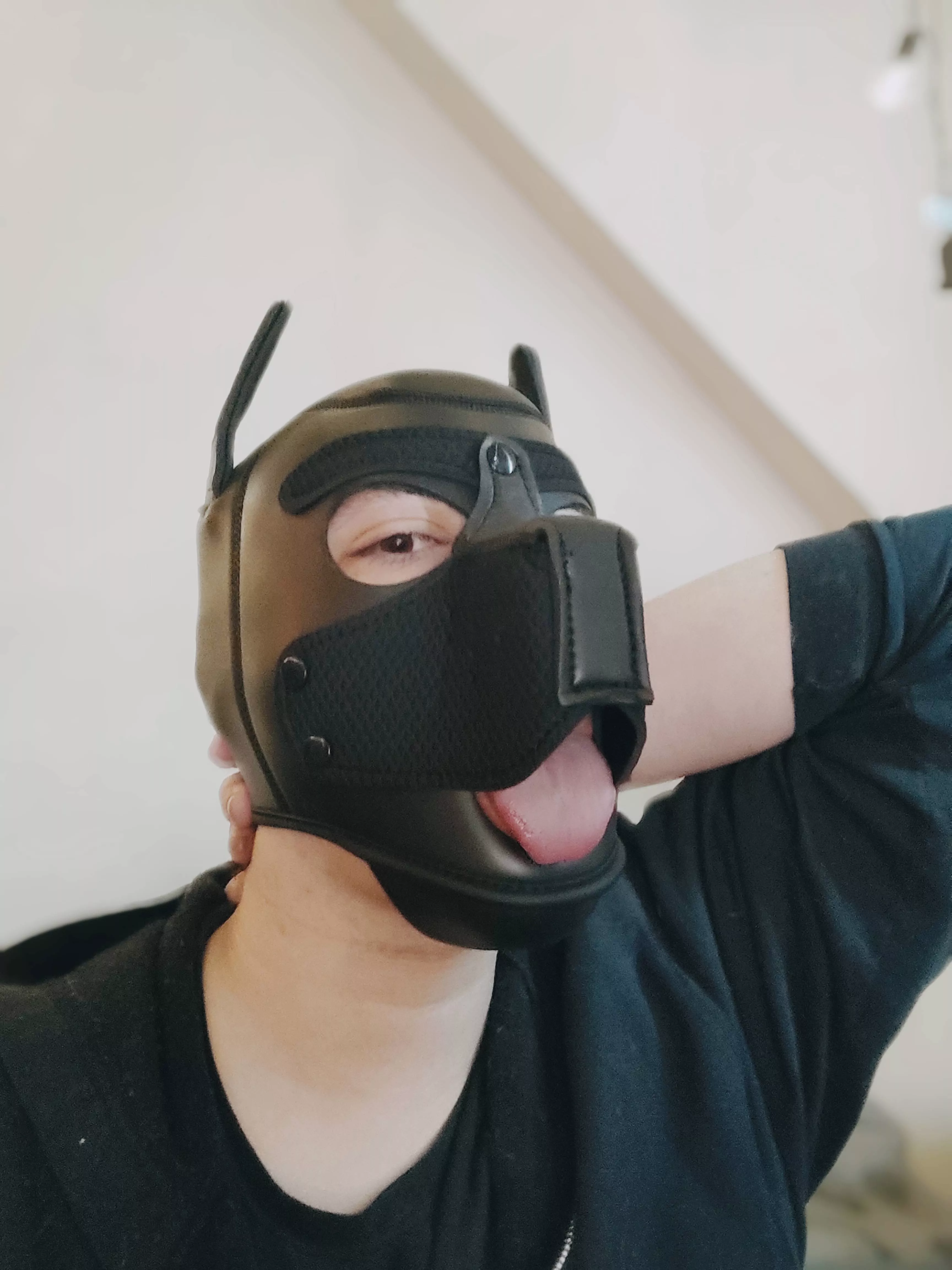 I've been home alone all day and I'm get(t)ing NEEDY 🐺💨🐺💨🐺💨