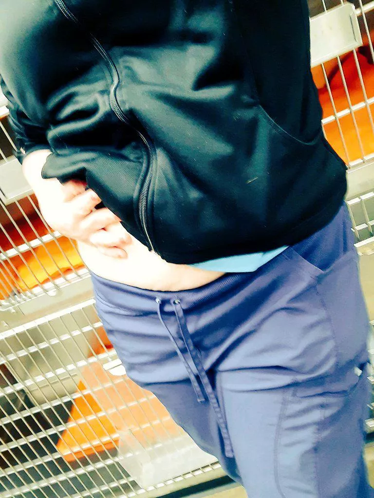 I've got the collar... you bring the leash...