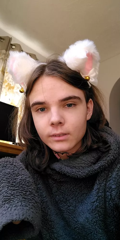 I've got the fluffy jumper, cat ears and thigh highs. All I'm missing is someone to snuggle with.