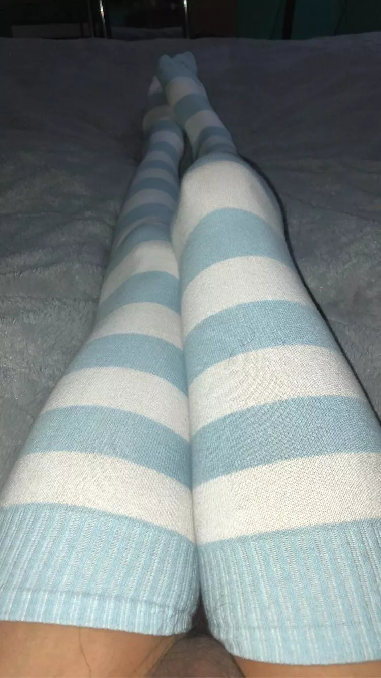 I’ve heard laying with thigh highs gets attention let’s see UwU x I’ve heard laying with thigh highs gets attention let’s see UwU x