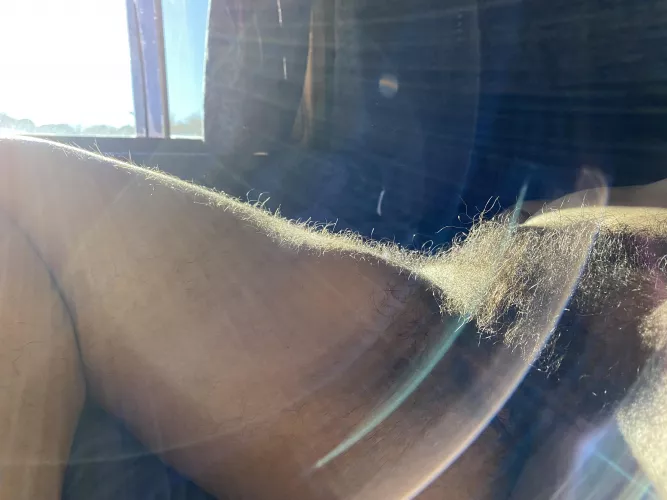 JanuHairy Sunshine ๐