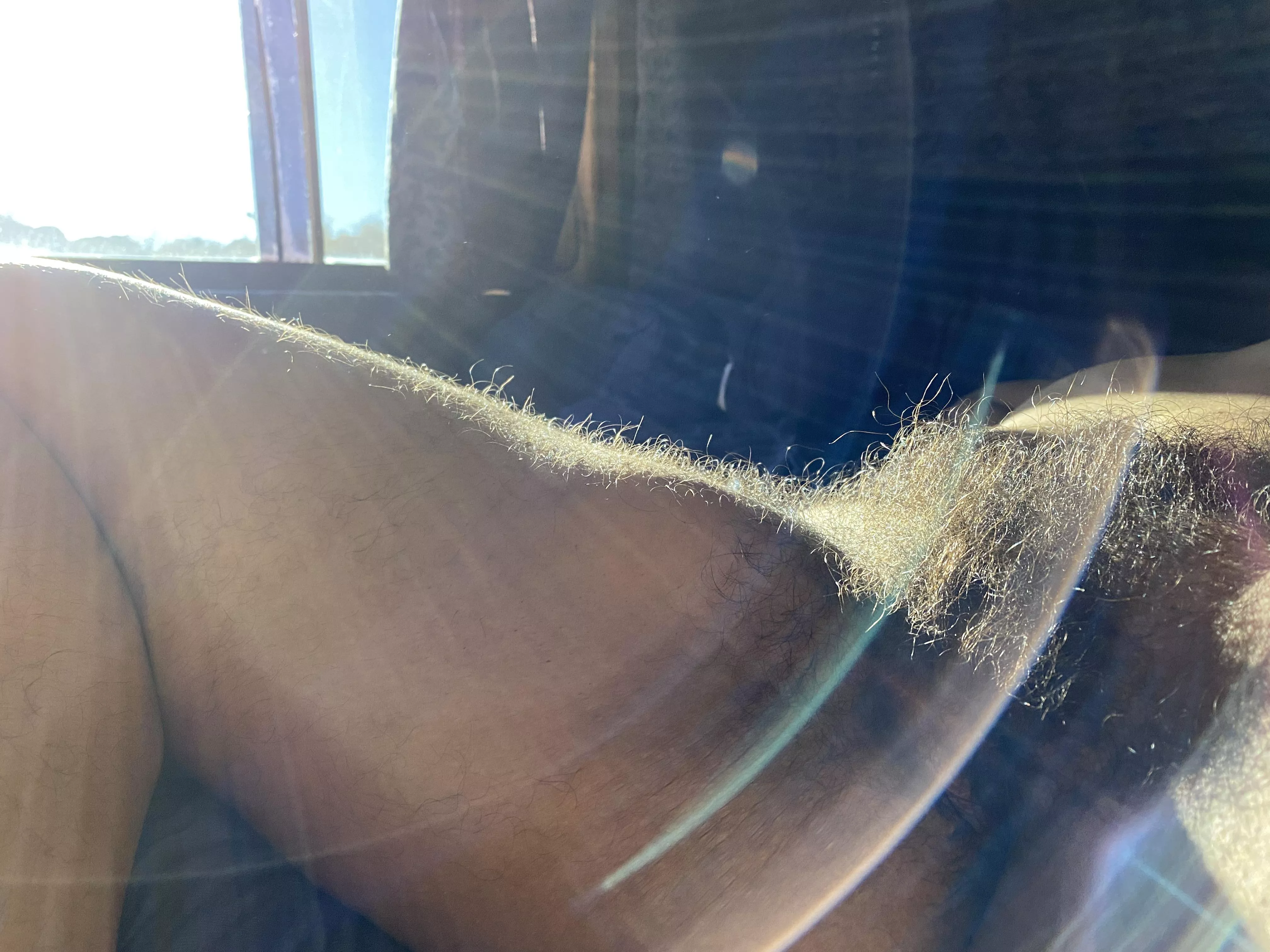 JanuHairy Sunshine 🌞