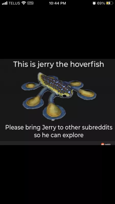 Jerry