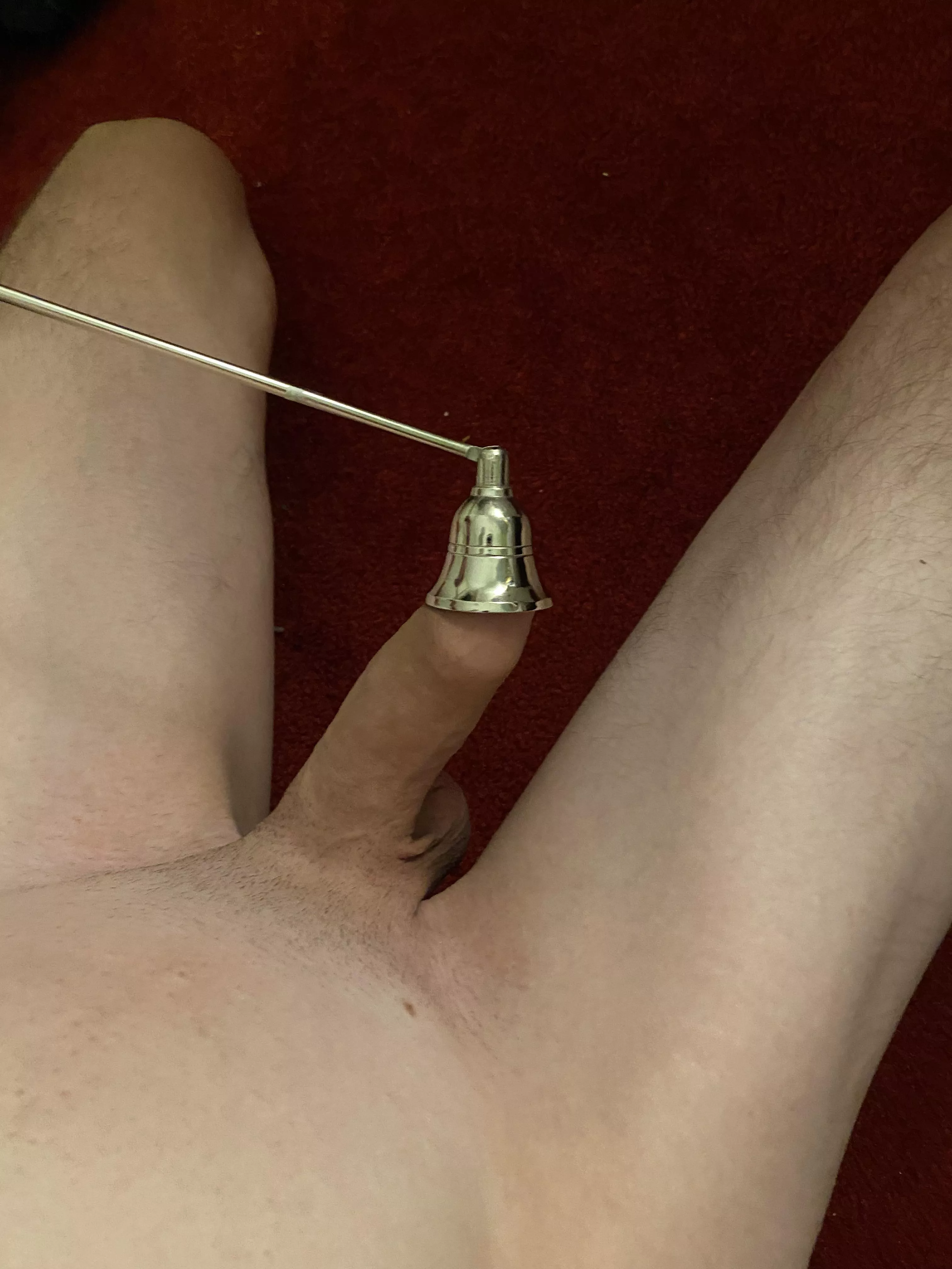 Jingle bells, jingle bells…