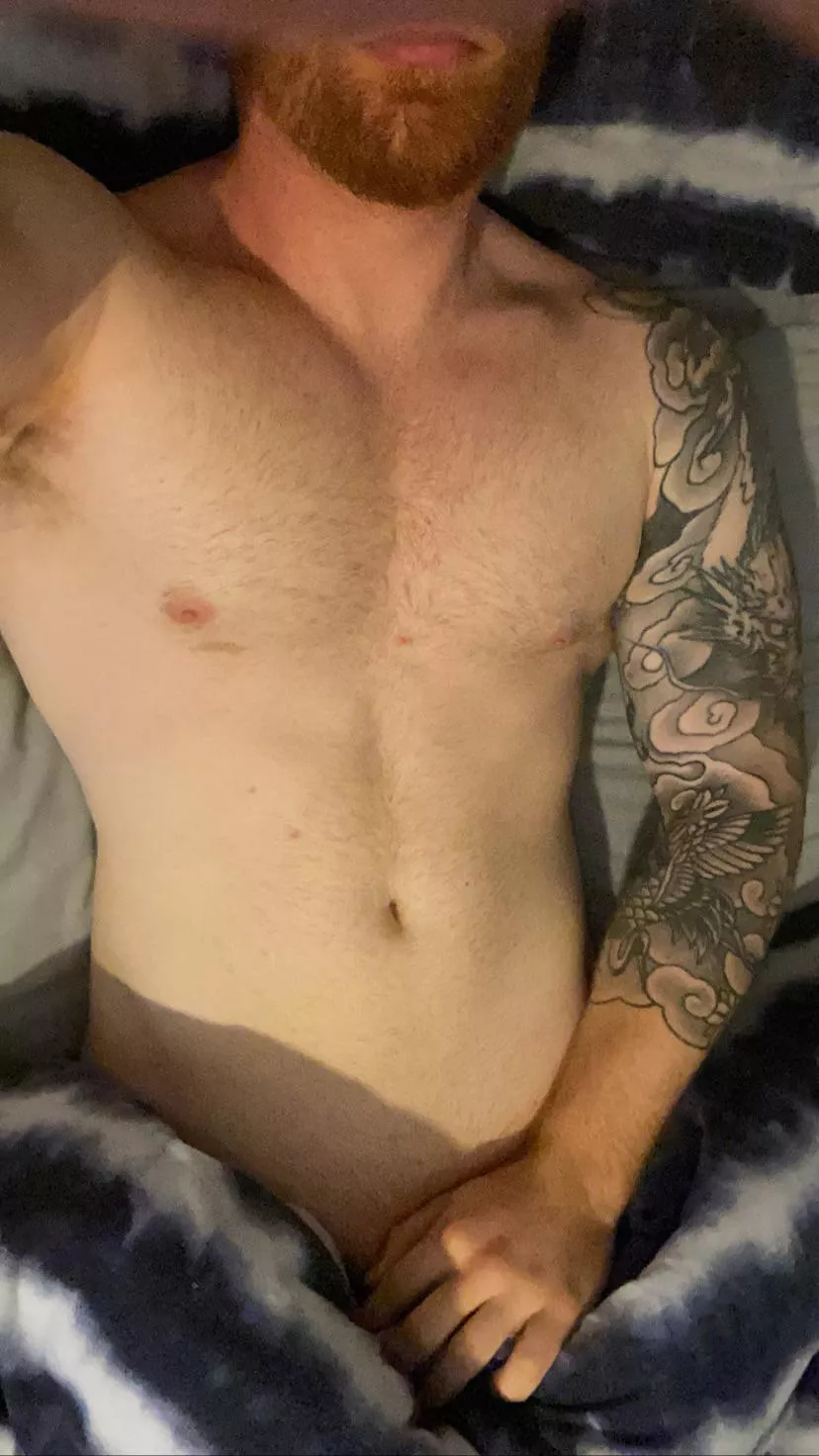 Join me for a cuddle and I’ll show you what I’m hiding Join me for a cuddle and I’ll show you what I’m hiding