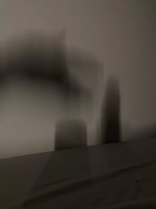 Just a dog playing fech with a stick lol