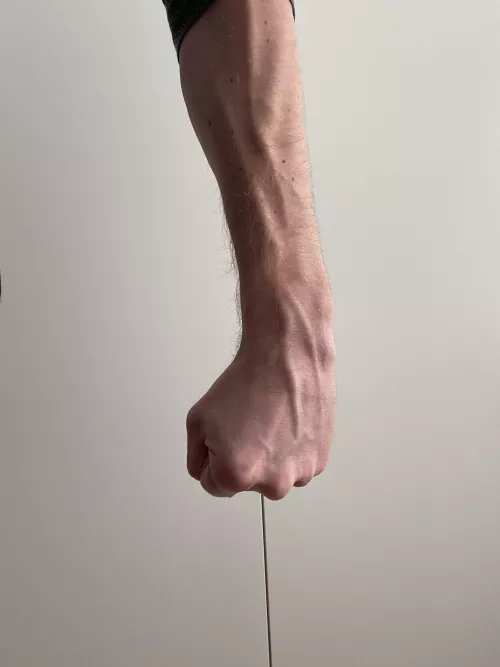 Just a fist and my forearm