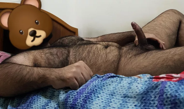 🔥🐻just a friendly Brown bear