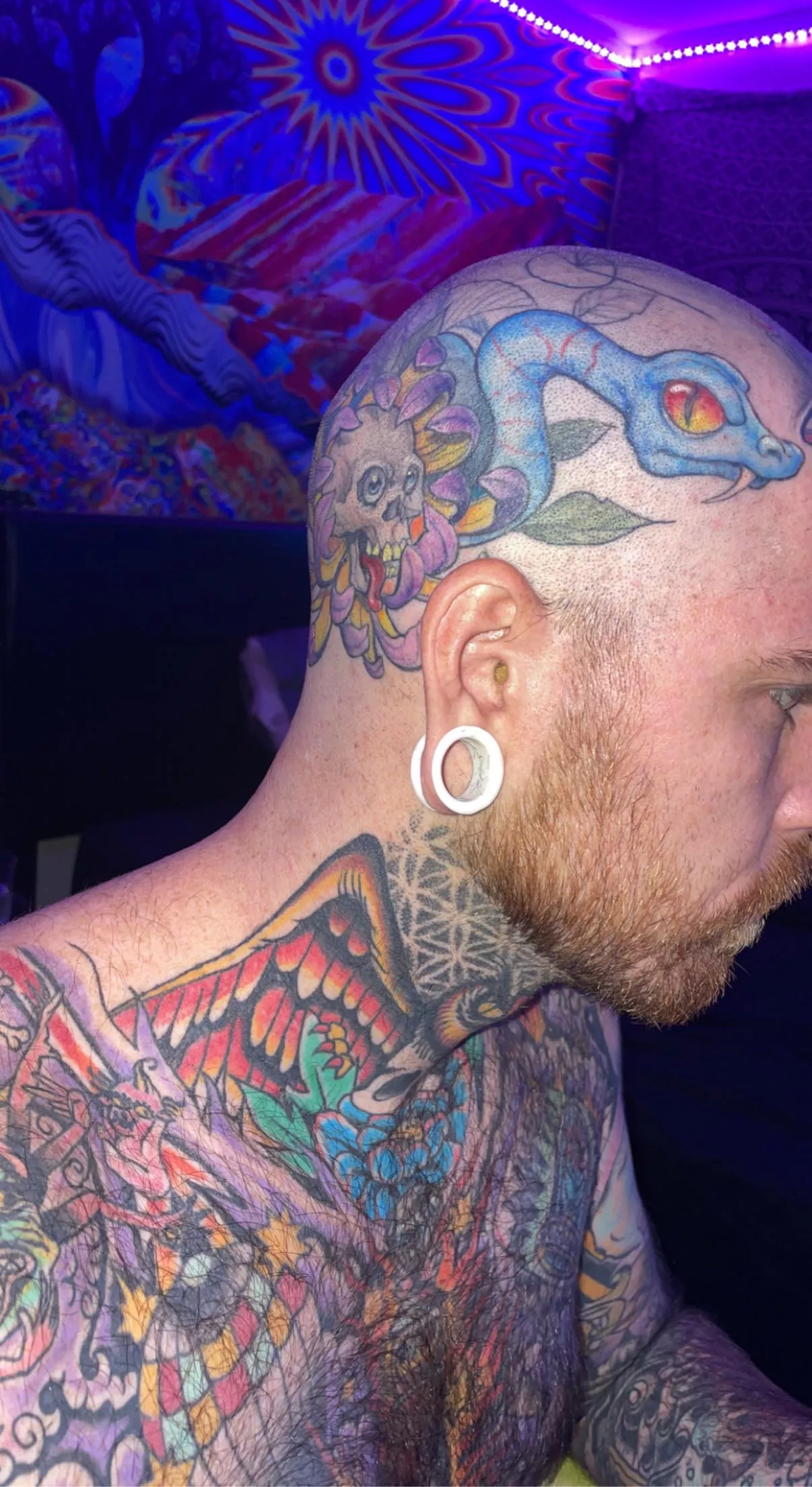 Just a lazy Sunday Just a lazy Sunday