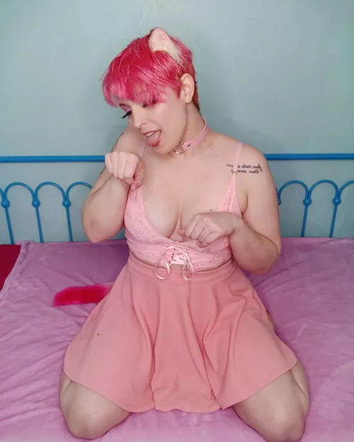 Just a pink kitty here, don't mind me