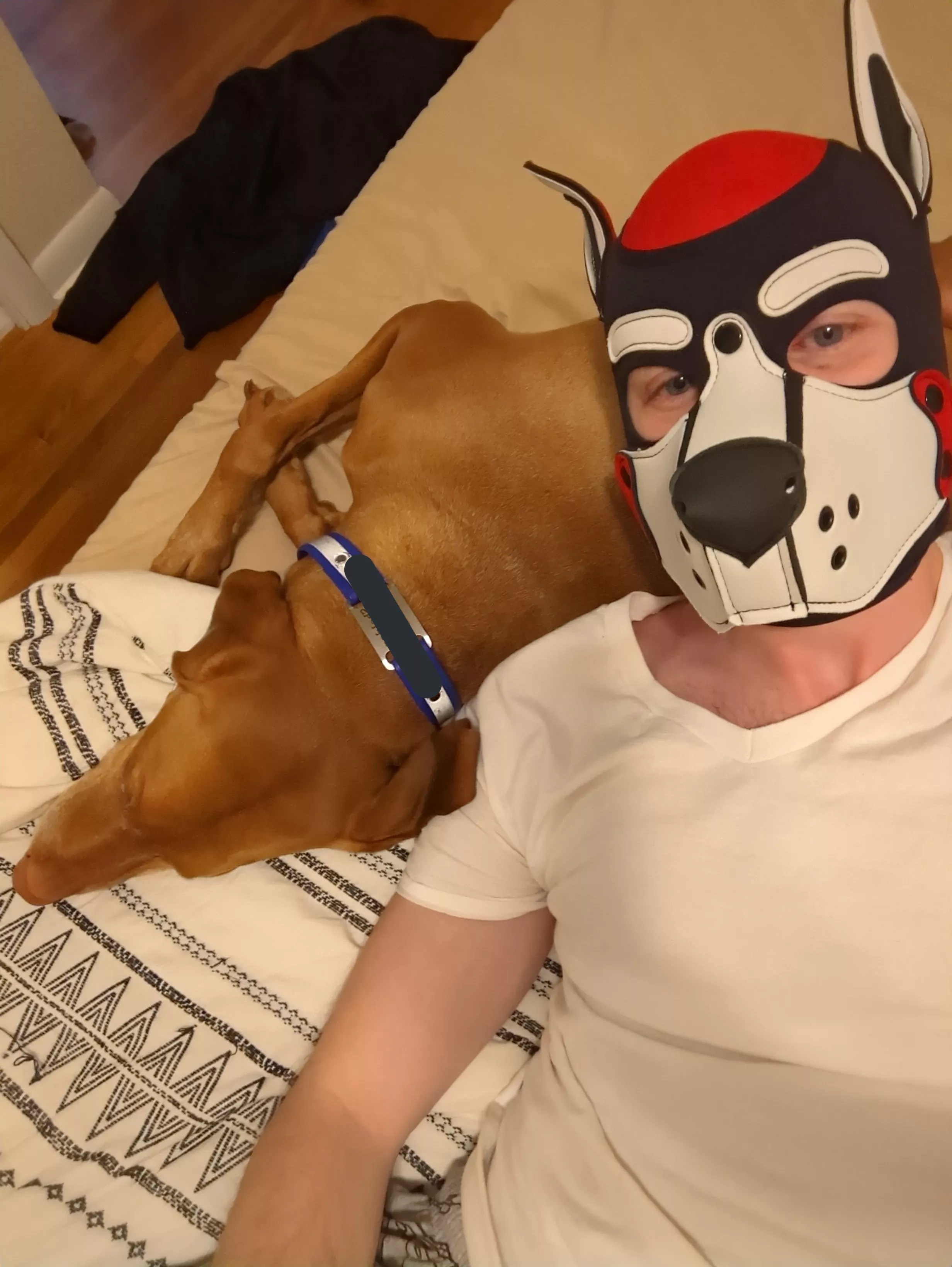 Just a pup and his pup relaxing at home.