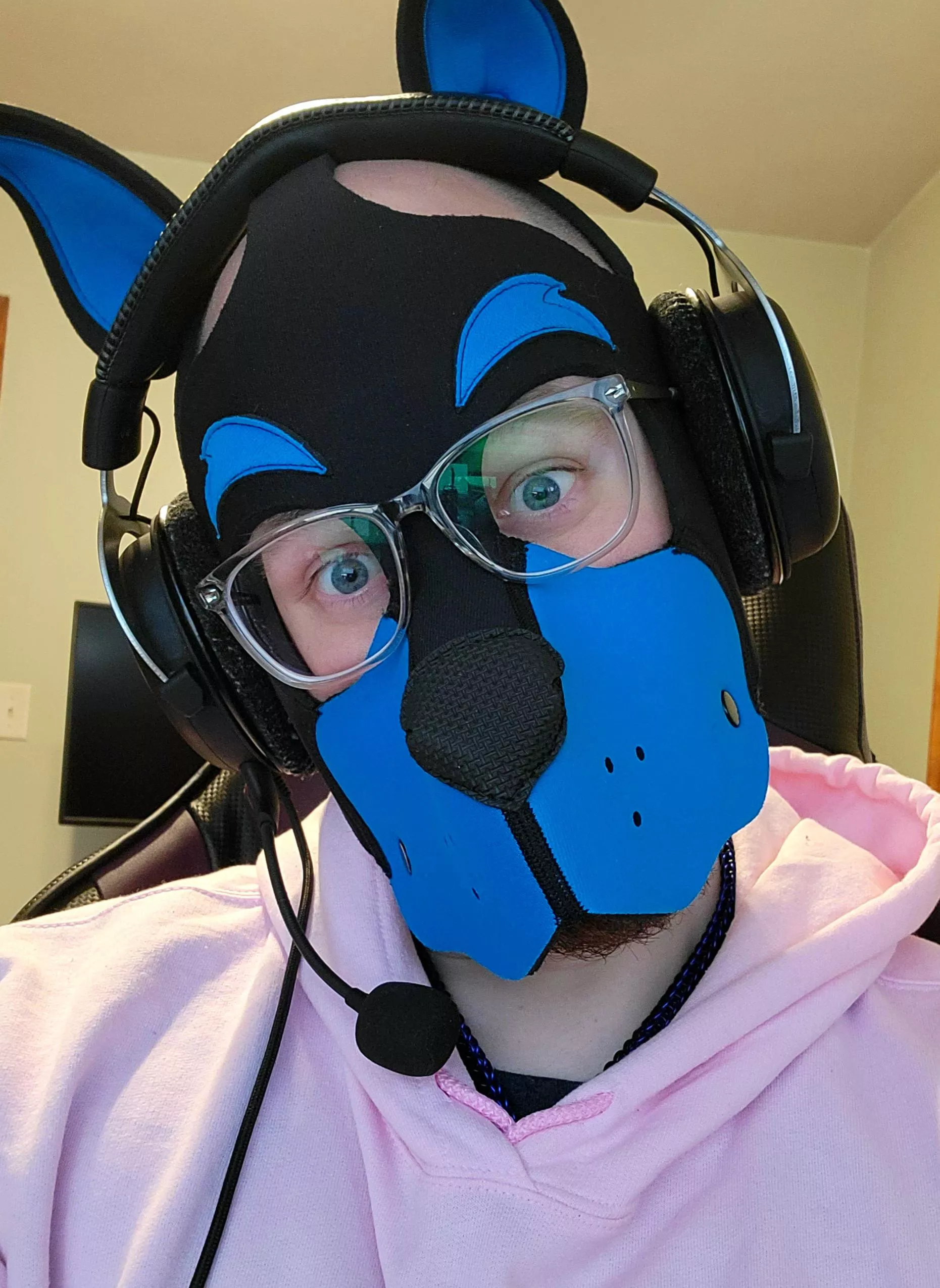 Just a pup playing gaymes.