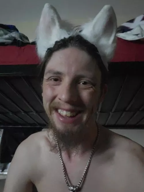 Just a pup without an owner