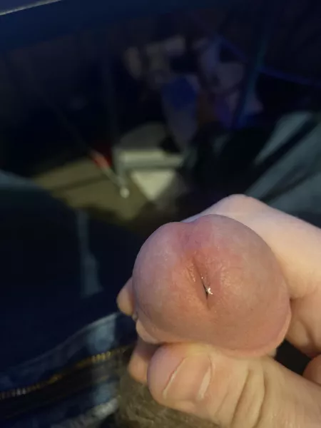 Just begging, look at the glisten