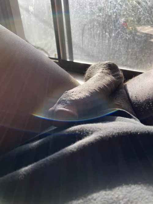 Just chillin in the sun 😉