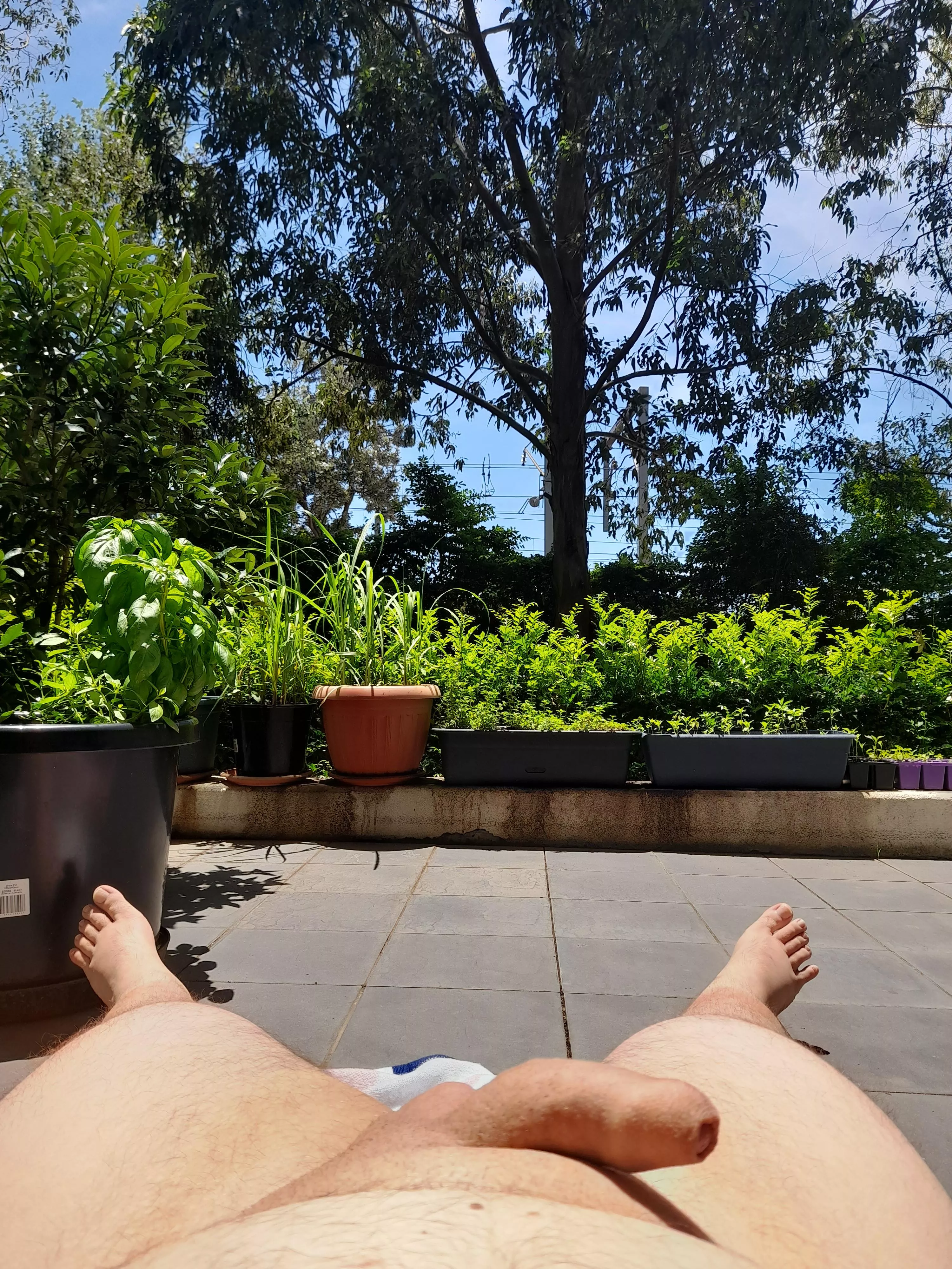 Just enjoying the sunshine😊