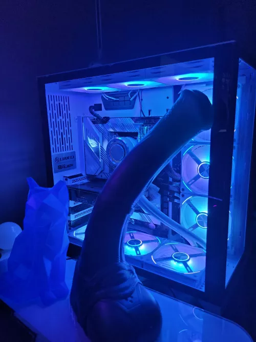 Just got (Lg/med)Vector in today :3 matches my PC setup perfectly. It's so big ๐
