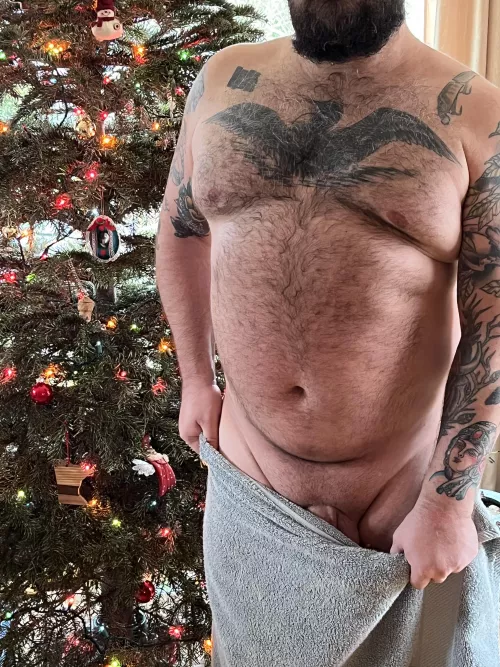 Just got out of the shower, time to take the ornaments off the tree…