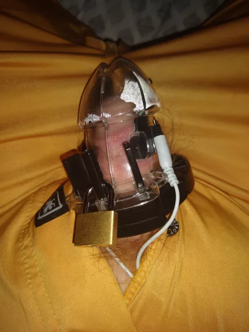 Just got this today!! Watching porn with only e-stim has been a shocking new discovery for me 😉