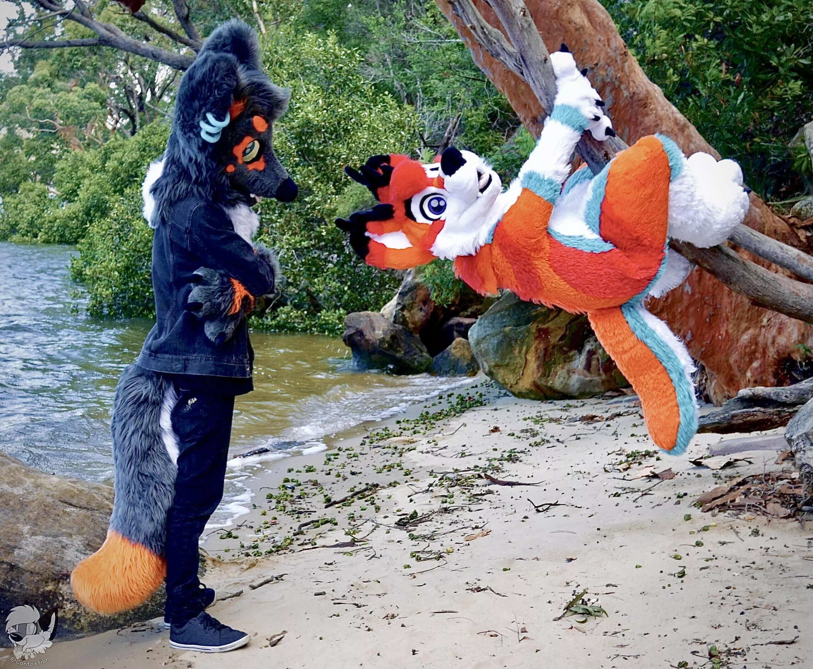 Just hanging in there