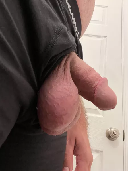 Just hanging out, in need of attention