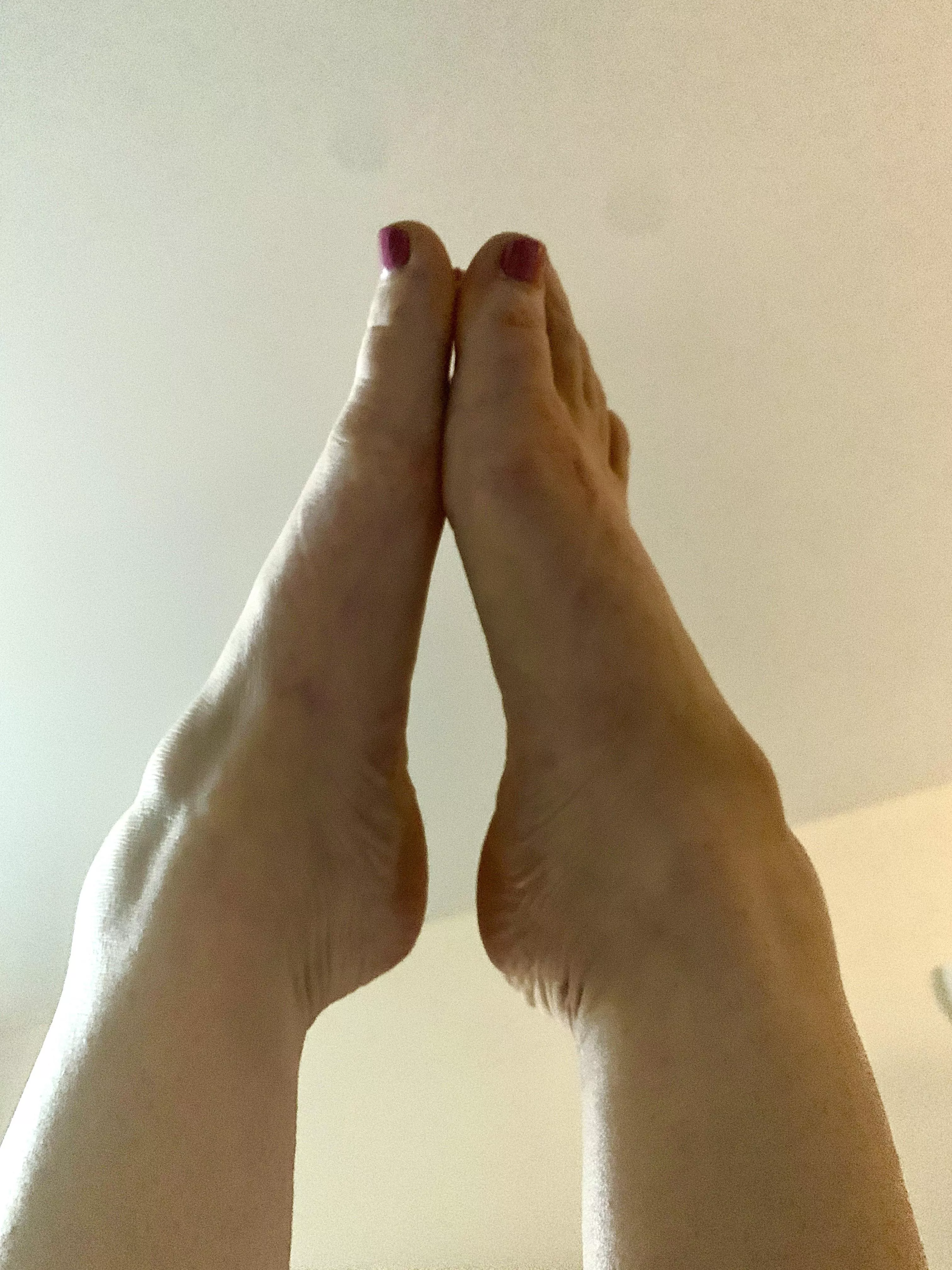 Just hanging out, upside down in my yoga headstand… Just hanging out, upside down in my yoga headstand…