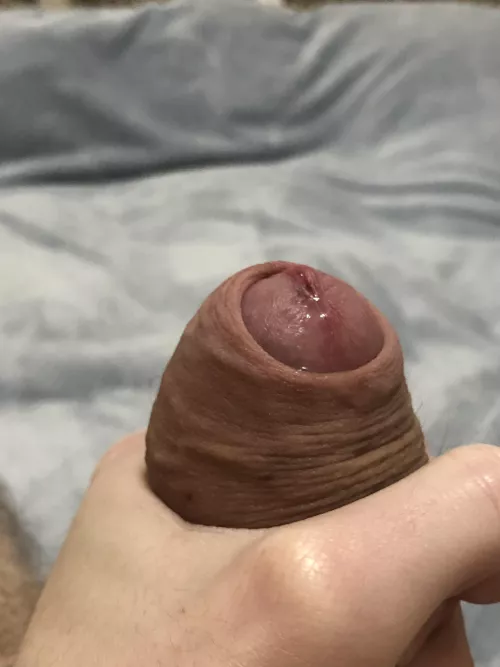 Just imagine how soft and tasty it feels