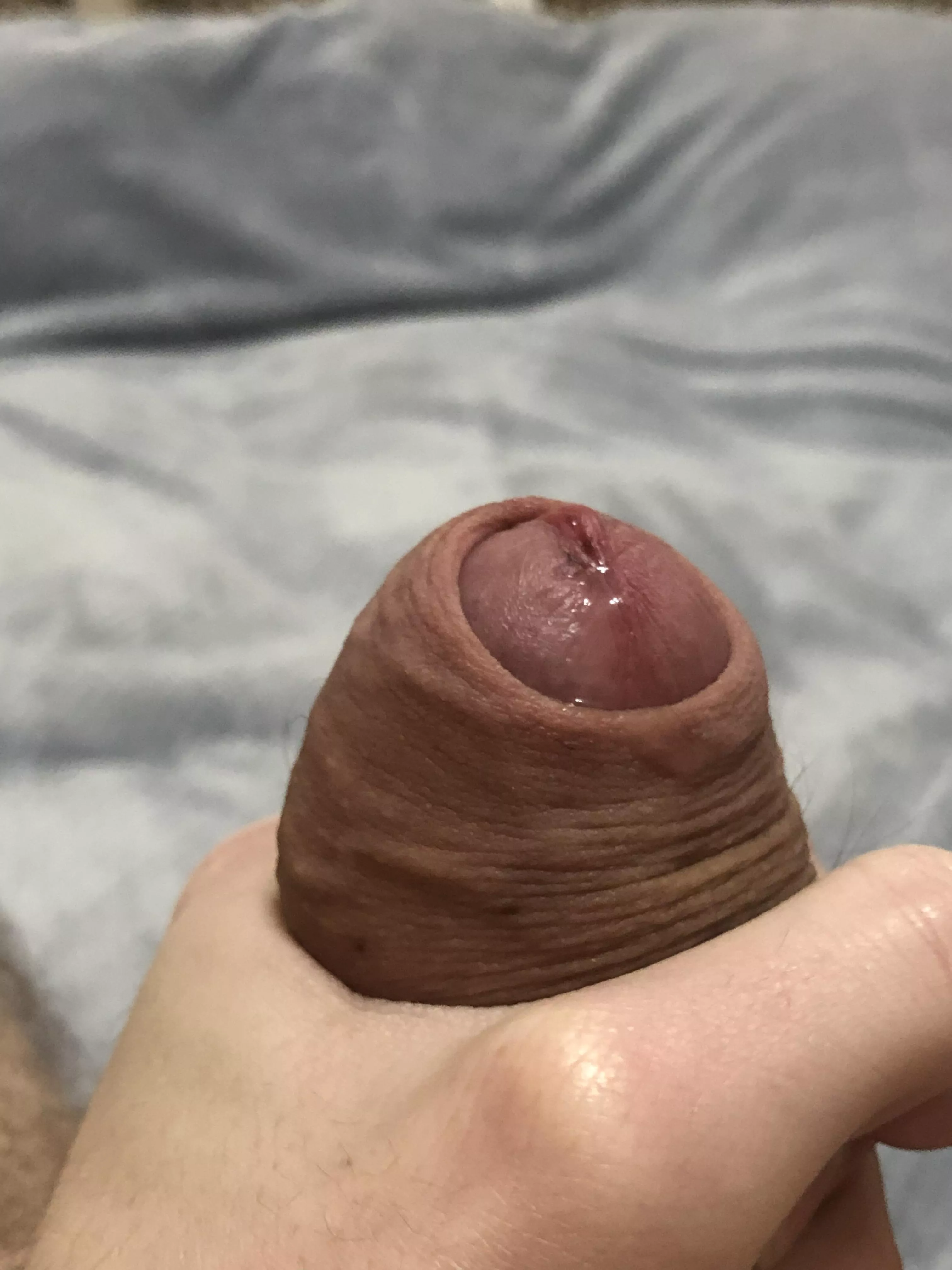 Just imagine how soft and tasty it feels