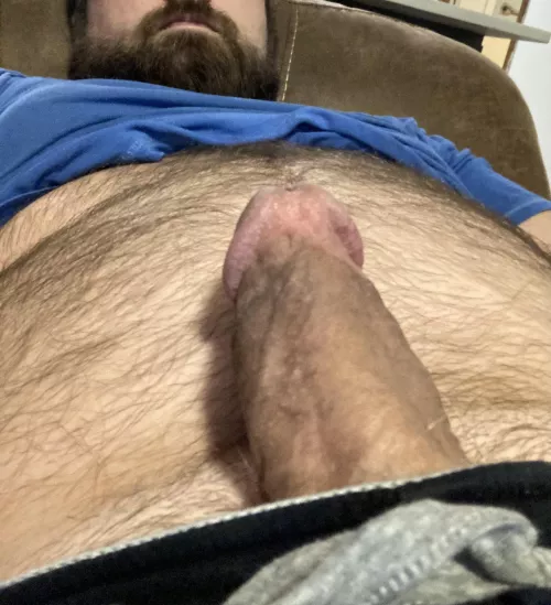 Just laying around. Anyone Wanna Help Me Tame This Beast?