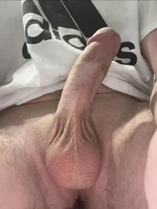Just looking for someone to take it all and give my balls some attention