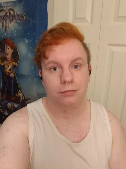 Just me, donald, goofy and woody hanging out