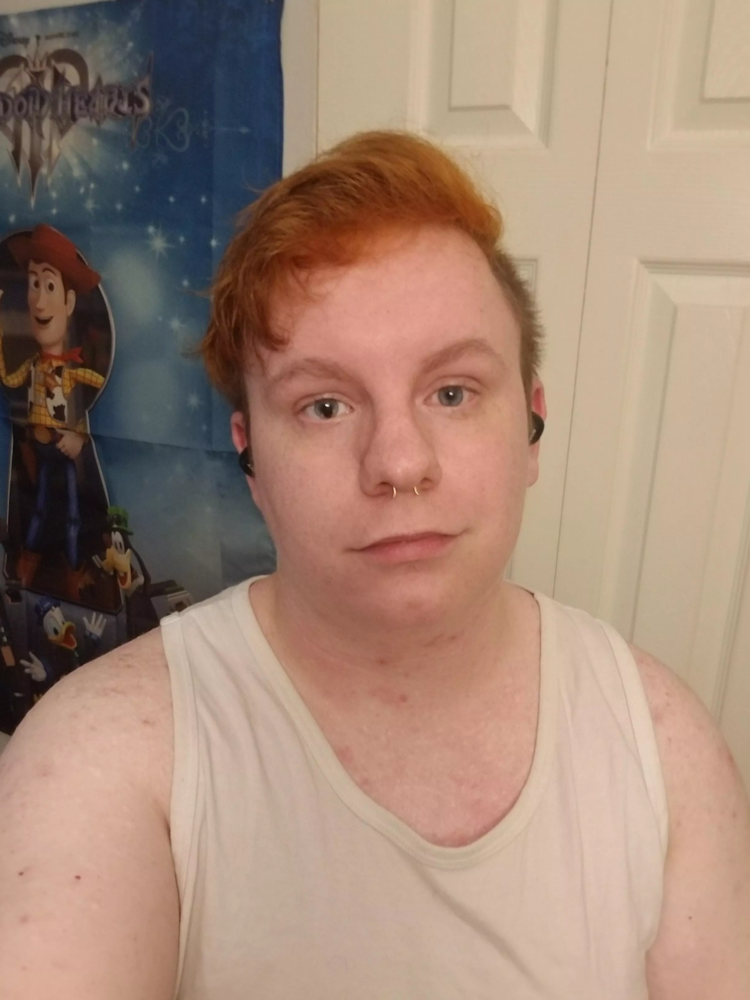 Just me, donald, goofy and woody hanging out