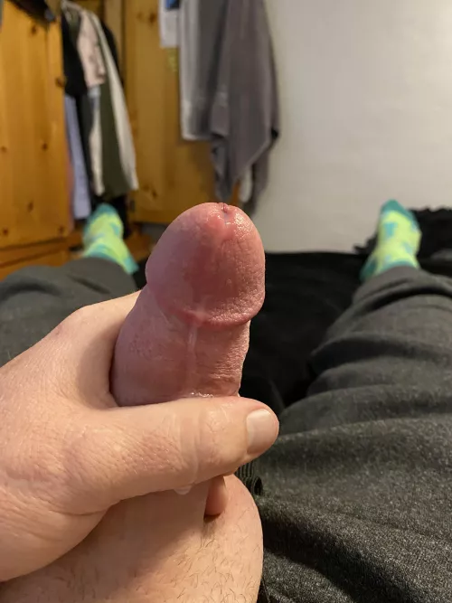 Just my little trickle before the flood.