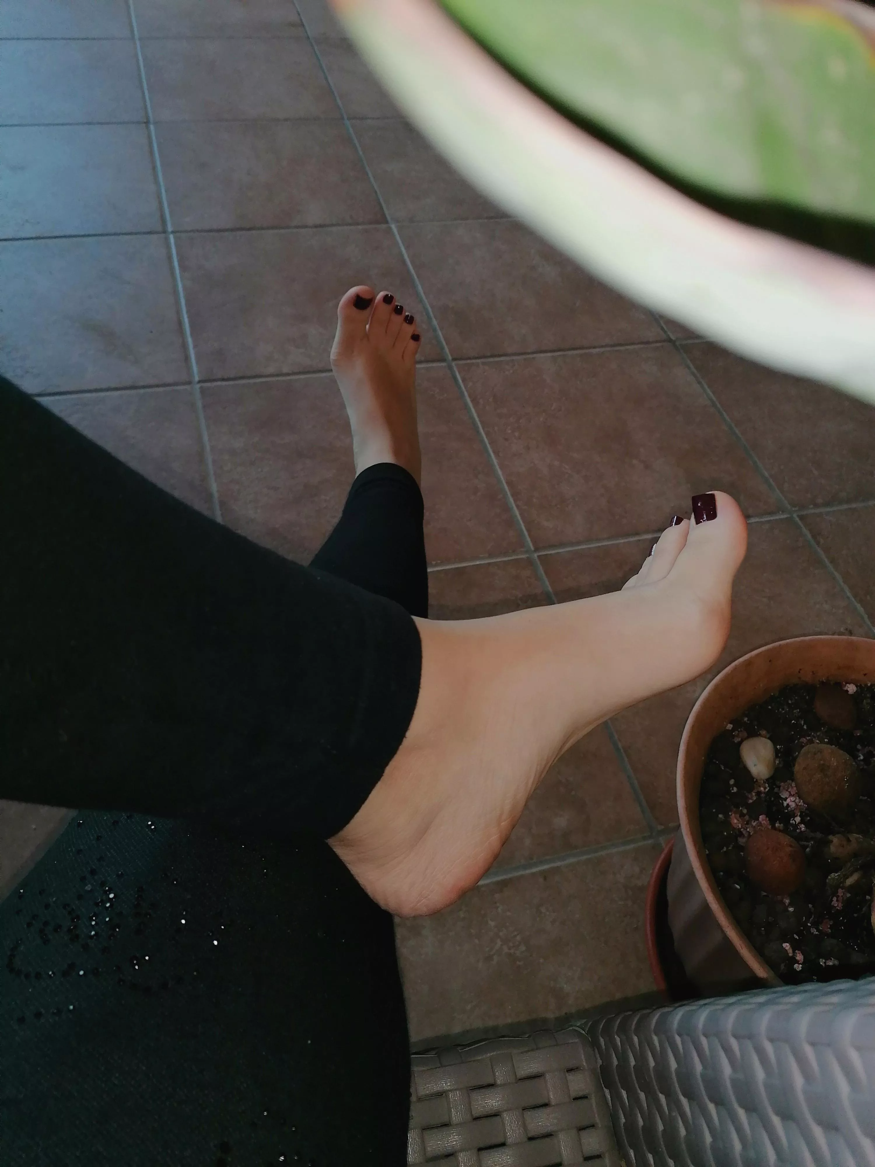 Just popping in to show off my feet 😏 DMs are open...[F, 22]