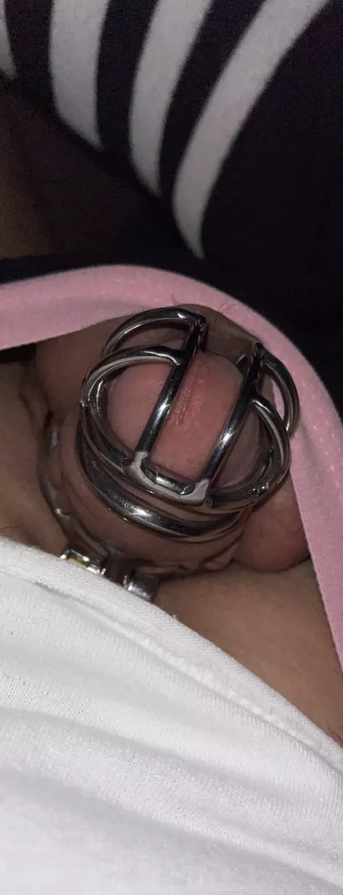 Just popping out to say hello